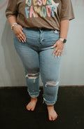 Plus Size High Rise Crop Slim Straight Jeans